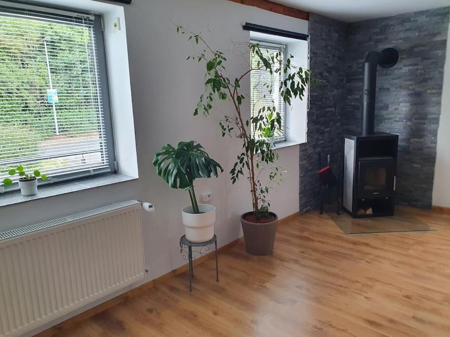 Kornhaus - Schoene Ferienwohnung Mit Pool, Kamin Und Terrasse Гёттинген Экстерьер фото